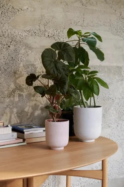 &Tradition Collect Planter SC70 fra Sale