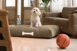 Fatboy Doggielounge L Canvas Recycled - Hundekurv fra Outlet