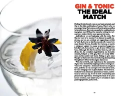 New Mags Gin & Tonic fra Online