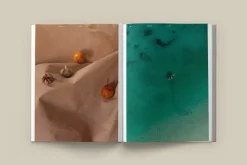 New Mags The Design Hotels Book – Taste and Place fra Best